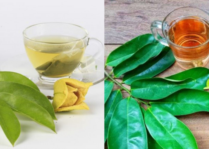 Rahasia Sehat dari Daun Sirsak: Manfaat Lengkap untuk Kesehatan Tubuh!