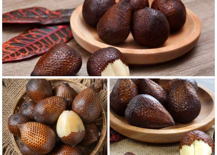 Rahasia Sehat Ibu Hamil: Beragam Manfaat Buah Salak untuk Janin dan Bunda!