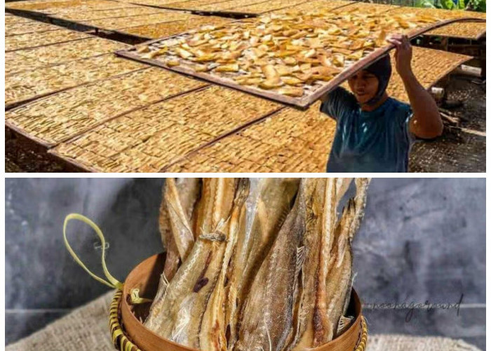 Eksplorasi Makanan Tradisional Langsa: Perpaduan Rasa Otentik yang Menggoda Selera