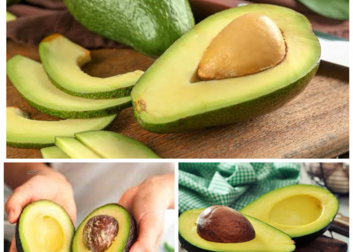 Manfaat Buah Alpukat bagi Kesehatan Tubuh: Rahasia Lemak Sehat dan Nutrisi Alami untuk Gaya Hidup Seimbang!