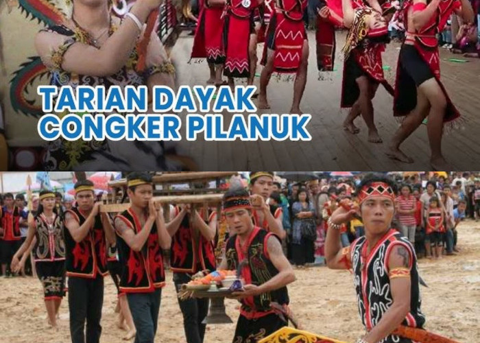 Apa yang Membuat Rumah Panjang Suku Dayak Begitu Unik? Yuk, Cari Tahu!