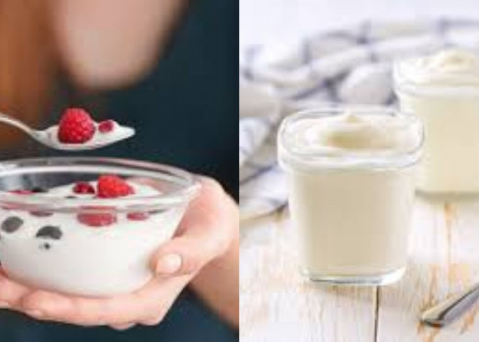 Simak! Inilah Sebuah Manfaat Penting Yoghurt bagi Wanita