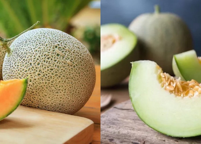 Melon, Buah Segar dengan Segudang Manfaat untuk Kesehatan Anda