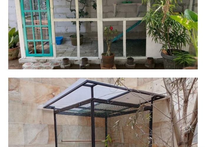 Teras Rumah Menghadap Kandang Burung Jadi Tren, Suasana Adem dan Menenangkan