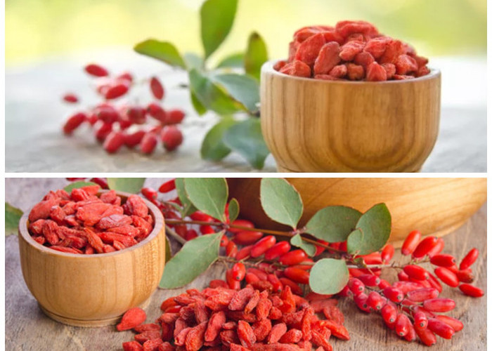  Meski Belum Umum Dikonsumsi, Inilah Manfaat Goji Berry bagi Kesehatan Patut Diperhitungkan!