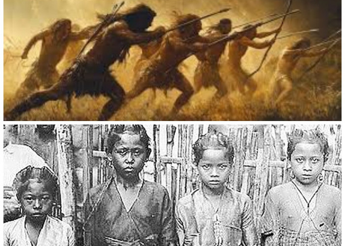 Jejak Suku Wajak: Bukti Penting Kehadiran Homo Sapiens di Indonesia