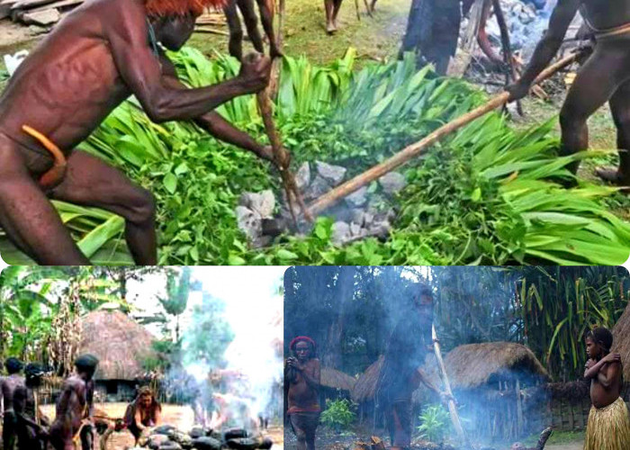 Adat Istiadat. Tradisi Bakar Batu Suku Dani Papua dan Nilai di Dalamnya