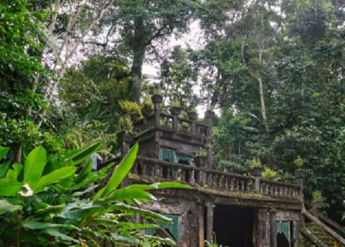 Diyakini Merupakan Peninggalan Raja Airlangga, Ternyata Istana Didalam Hutan Jati Lamongan Merupakan
