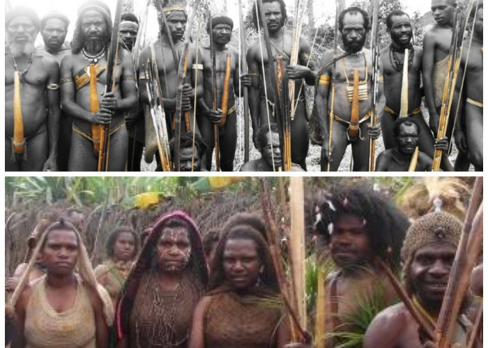 Sejarah Suku Mee: Mengenal Asal Usul, Budaya, dan Perjalanan Tradisi Masyarakat Pegunungan Papua!