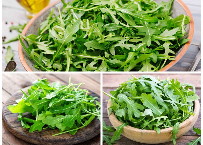Deretan Nutrisi dan Manfaat Arugula untuk Kesehatan Tubuh: Sayuran Hijau Kaya Gizi yang Wajib Dicoba!