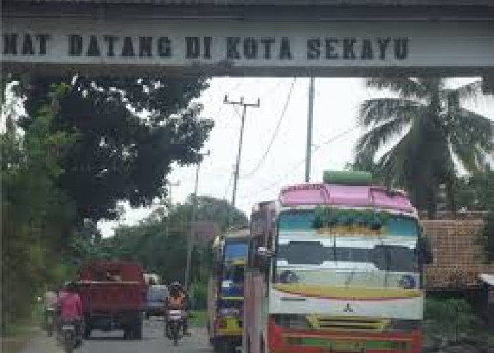 Benarkah Musi Banyuasin, Muara Enim dan Palembang Masuk Daftar Daerah Terkaya di Provinsi Sumatera Selatan? Ce