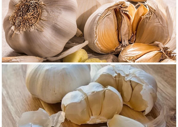 Rahasia Sehat dari Dapur: Ini Dia Segudang Manfaat Bawang untuk Tubuh!