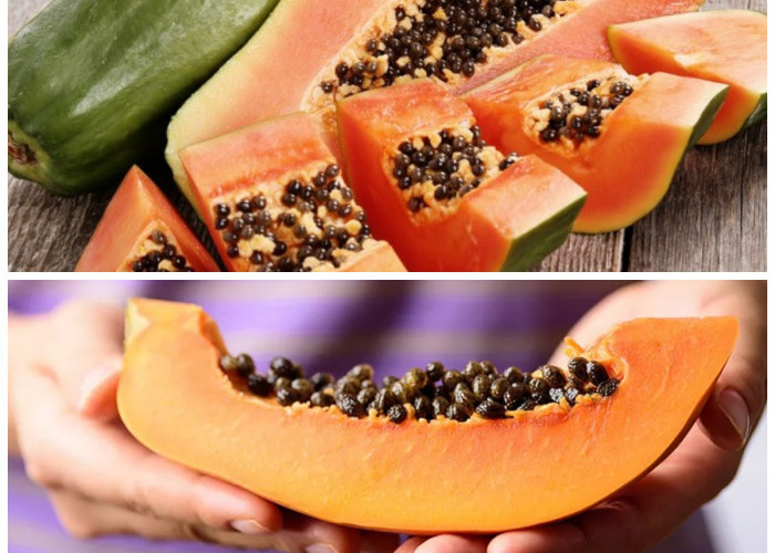 Selain Buahnya, Biji Pepaya Juga Kaya Khasiat untuk Kesehatan Tubuh