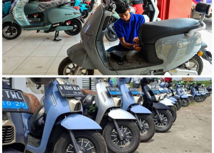 Periklindo Minta Kepastian Subsidi Motor Listrik, Ini Dampaknya bagi Industri dan Konsumen