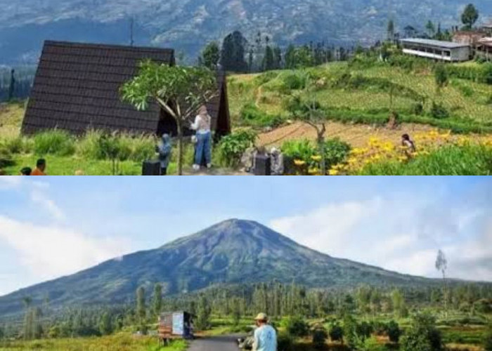 Bikin Betah Gak Mau Pulang! Intip Pesona Wisata Alam Temanggung yang Cocok Buat Self-Healing
