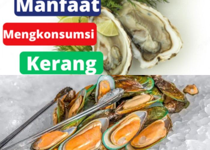 Apa Manfaat Kerang Hijau untuk Jantung Anda? Temukan Jawabannya!