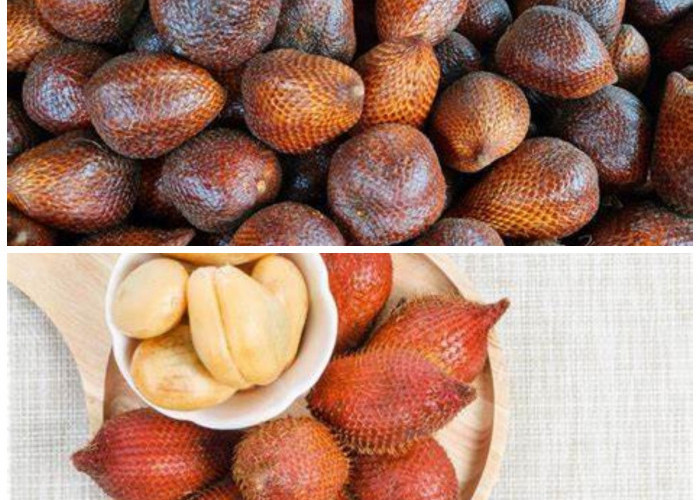 Rahasia Buah Salak: Meningkatkan Daya Tahan Tubuh secara Alami