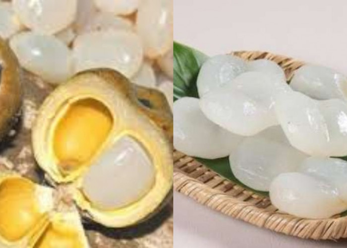  Inilah 7 Manfaat Buah Lontar Untuk Kesehatan Tubuh Yang Harus Kalian Tahu!