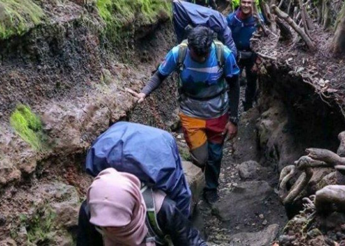 Gunung Marapi Sumbar Erupsi dan Semburkan Abu Vulkanik, Puluhan Pendaki Dikabarkan di Puncak 
