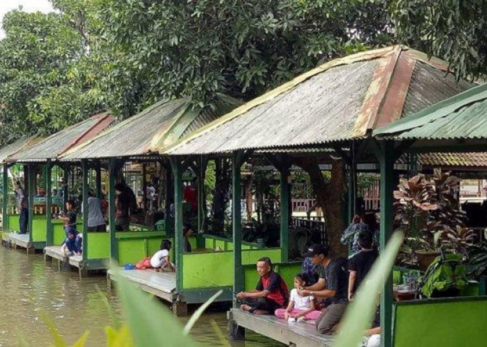 Cari Tempat Makan Suasana Alam? Cek 5 Tempat Makan Cozy di Tangerang Selatan yang Wajib Dicoba!
