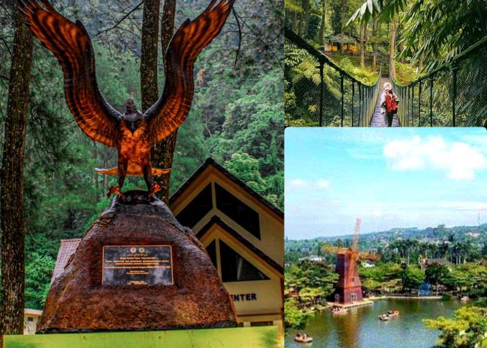 5 Wisata Bogor. Pesona Kesejukkan Alamnya Pilihan Tepat Habiskan Penat