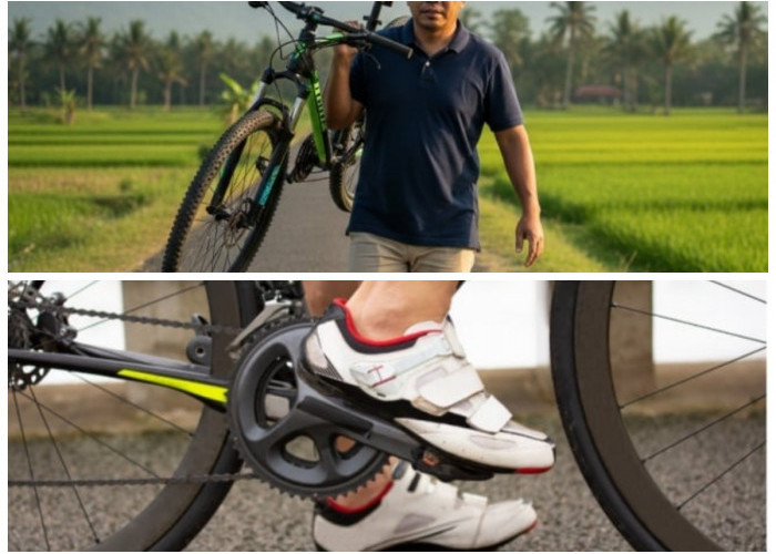 Hobi Sehat Anti Pegal! Ini 5 Rekomendasi Sepeda Terbaik untuk Bapak-Bapak di 2026