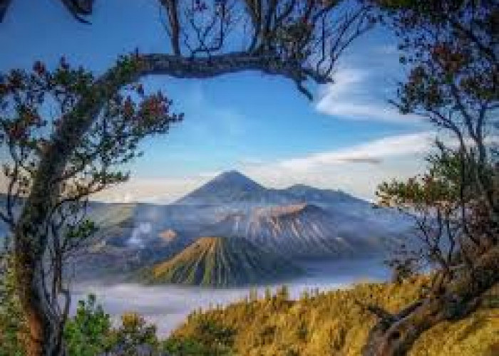 Bikin Nyali Pendaki Berdebar! Ini Misteri di Balik Keindahan Gunung Bromo