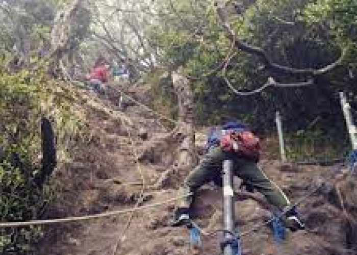Kisah-kisah Misterius Gunung Pangrango yang Banyak Ditemui Para Pendaki