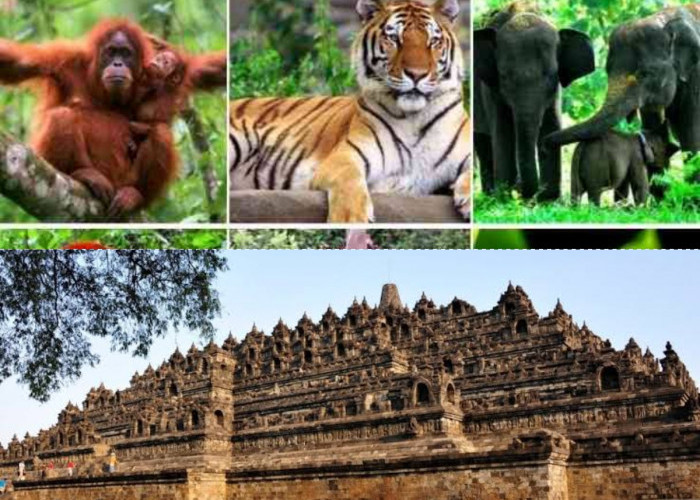 Indonesia Kaya, Inilah 5 Fakta Kekayaan Alam Indonesia, Dari Flora Fauna Hingga Bangunan Bersejarah