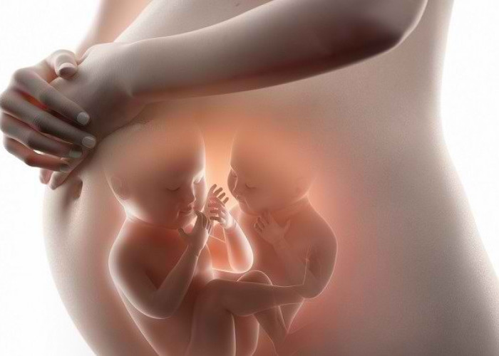 Kenali Kehamilan Kembar, Tanda-tanda Hingga Penanganannya