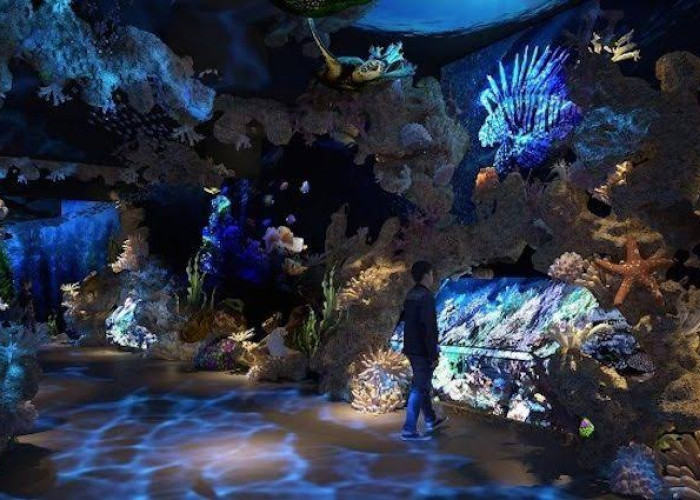 Wow! Lebih Dekat dengan Penghuni Laut, Inilah Wisata Edukasi Aquarium Terbesar si Indonesia