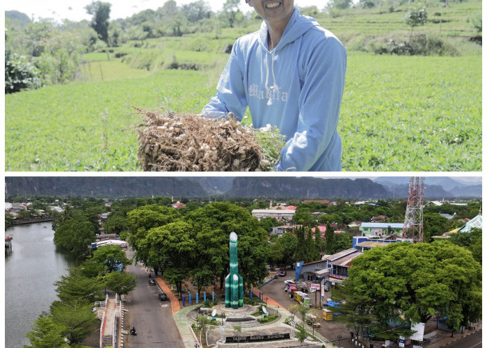 Desa BRILiaN Tompobulu: Bukti Nyata Sinergi Potensi Lokal dan Digitalisasi Dorong Pertumbuhan Ekonomi Berkelan