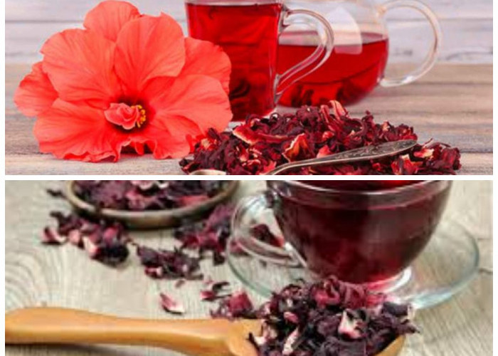 7 Khasiat Teh Hibiscus yang Mampu Tingkatkan Kesehatan Tubuh Secara Alami