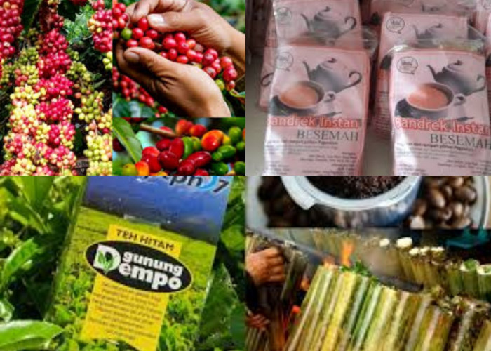 Oleh-Oleh Khas Kota Pagaralam, Sumatera Selatan: Cita Rasa Pegunungan yang Tak Terlupakan