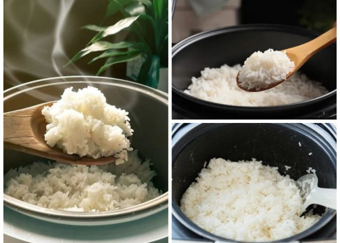 Nasi Sering Basi? Kenali 10 Penyebab Nasi di Rice Cooker Cepat Bau!