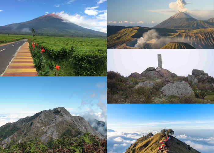 Masuk Kedalam Daftar Seven Summit, Inilah 7 Gunung Tertinggi di Indonesia