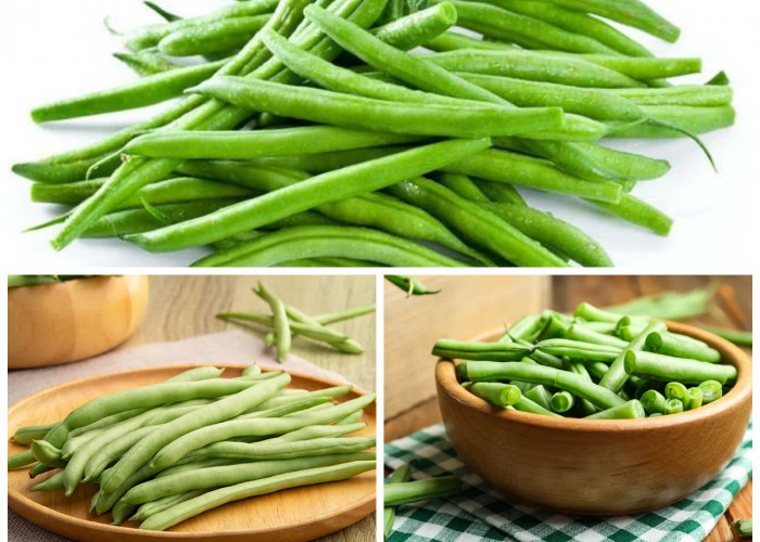 Manfaat Buncis bagi Kesehatan Tubuh: Nutrisi Lengkap dalam Sajian Sederhana!