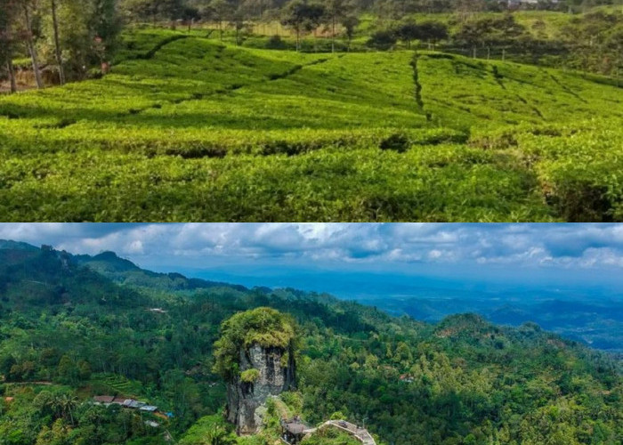 Menelusuri Sejarah dan Misteri Gunung Kaba di Kalimantan