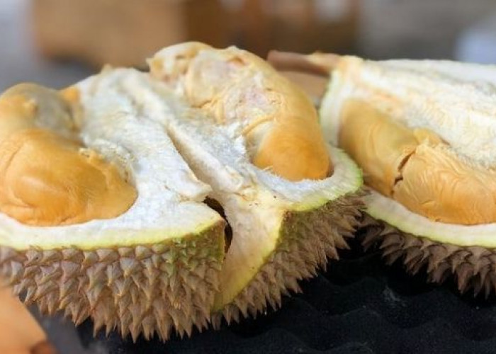 Pecinta Durian? Inilah 6 Daerah Penghasil Durian Terbesar di Indonesia, Salah satunya di Kota Palembang 