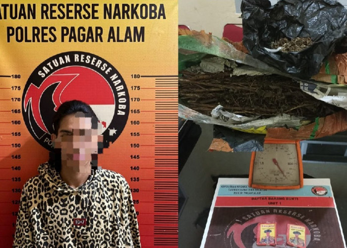 Sembunyikan 0,8 Kg Ganja Siap Edar di Dapur, Pemuda Ini Diringkus Satres Narkoba