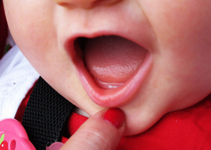 Bunda Catat ini! 7 Makanan Sehat untuk Rangsang Pertumbuhan pada Gigi Bayi 