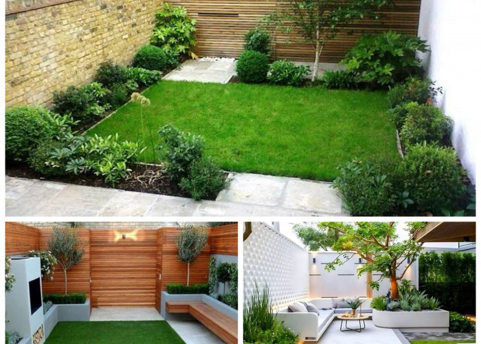 7 Inspirasi Taman Minimalis yang Bikin Rumah Terlihat Lebih Sejuk dan Elegan!