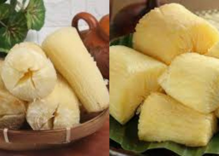 Wajib Tahu! 7 Manfaat Singkong Untuk Kesehatan dan Cara Tepat Mengolahnya