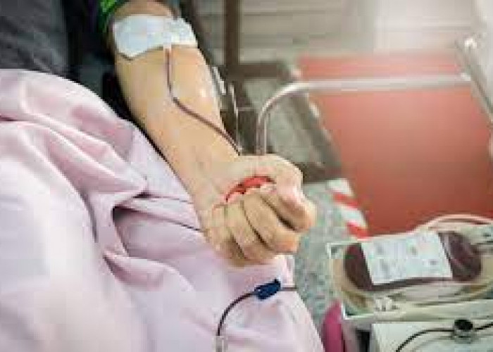 Kamu Harus Tau! Manfaat Donor Darah bagi Kesehatan