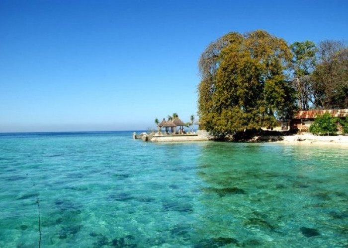Menyimpan Pesona Alam dan Dunia Bawah Laut yang Cantik! Kamu Wajib Banget datang ke Pulau Samalona 