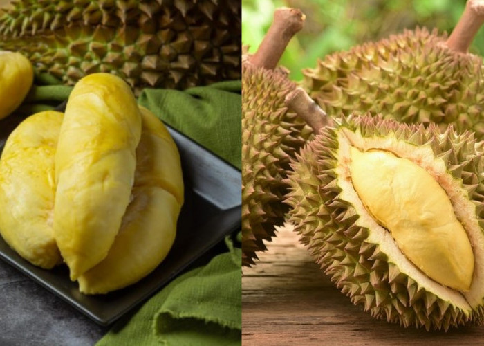 Manfaat Konsumsi Durian untuk Anak: Mendukung Energi dan Pertumbuhan!