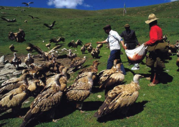 Ritual Pemakaman Langit di Tibet, Jasad Dimakan Burung, Dipercaya Penanda Tanpa Dosa