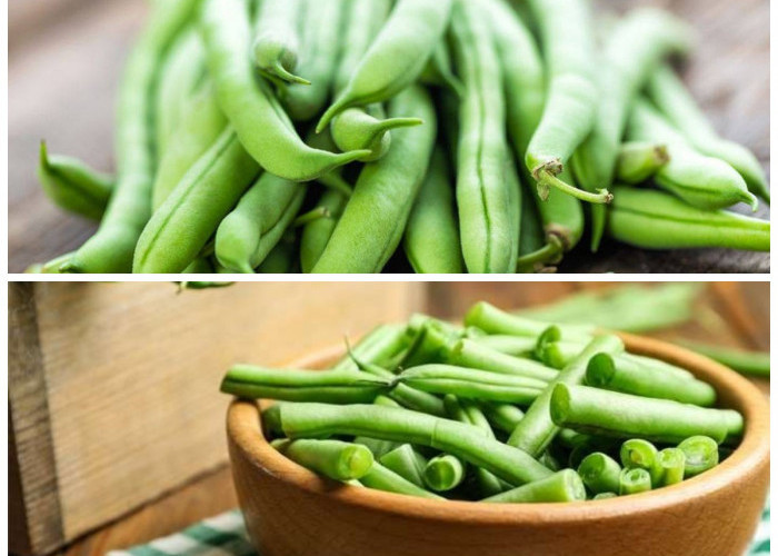 Jangan Sampai Lewat! Inilah Manfaat Buncis Yang Tak Kalah Baik Dari Sayuran Lainnya