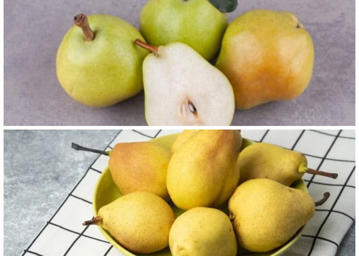 Kaya Serat dan Antioksidan, Ini Deretan Manfaat Buah Pir untuk Tubuh Sehat!