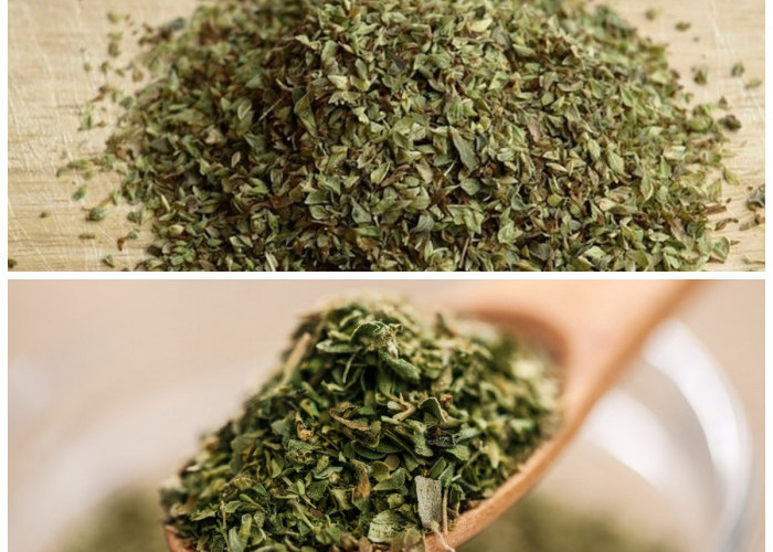 Manfaat Teh Oregano untuk Tubuh Sehat yang Perlu Kamu Tahu